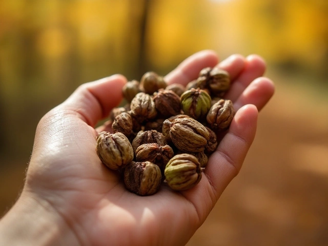 The Hidden Benefits of Black Walnut: Your Ultimate Health Ally