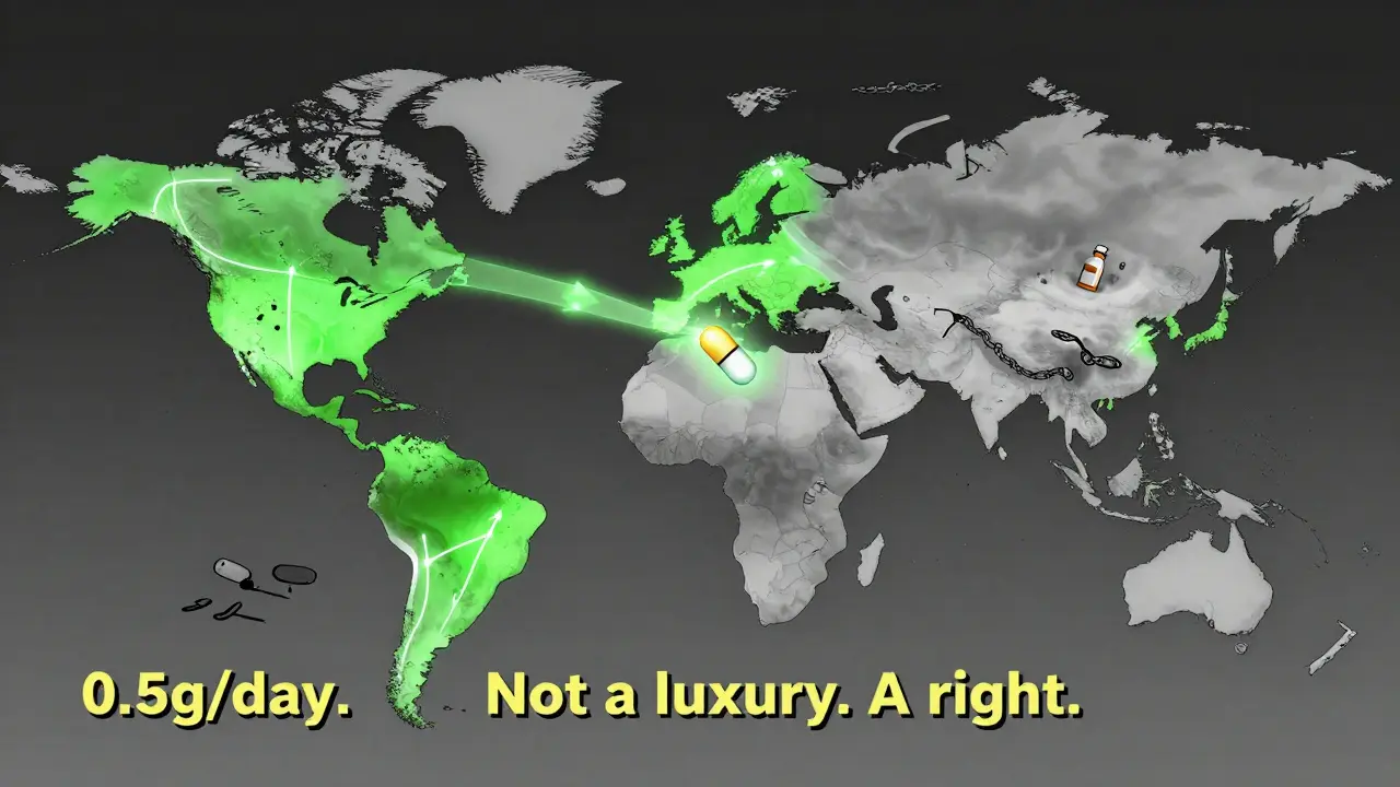 A global map showing treatment access gaps, with one glowing capsule bridging wealthy and underserved regions, symbolizing equity in kidney care.